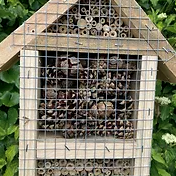 Bug Hotel £10