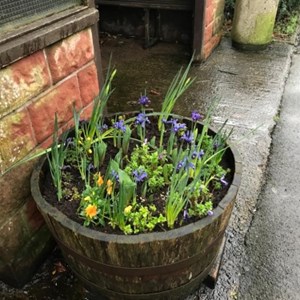 Gardening Group Improvements – Beautifying the village with flowers and greenery.