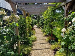 Martinstown Village Hall Open Gardens 2025