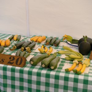 HBT Horticultural Society Photographs 2026