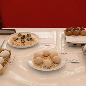HBT Horticultural Society Photographs 2026