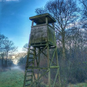 Tower in New Park Wood