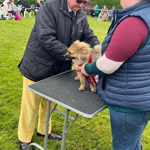 Whixall Social Centre Whixall Companion Dog Show 2024