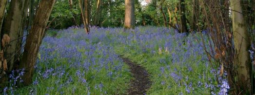 Wrabness Parish Council Footpaths