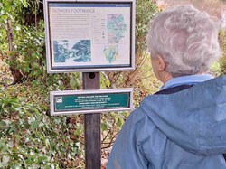 Probus Shelley Walks 2026