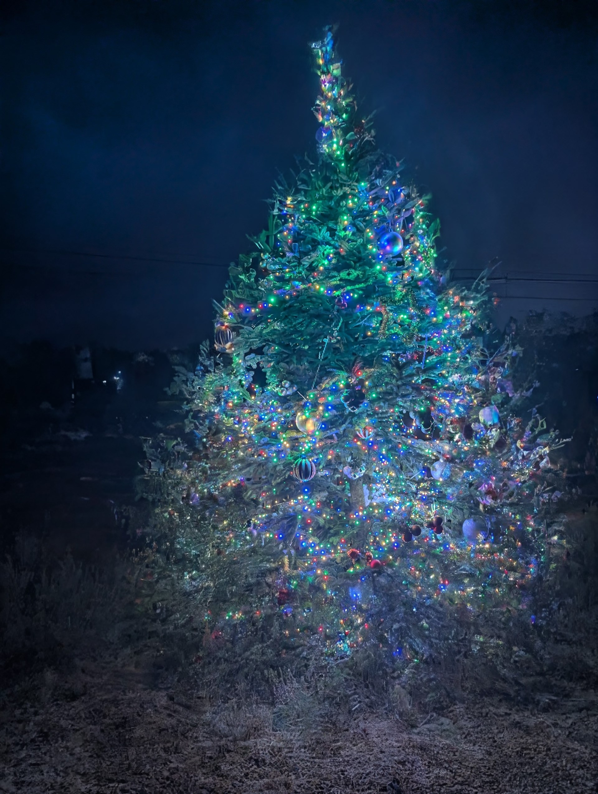 Buckland Dinham Christmas Lights Switch on