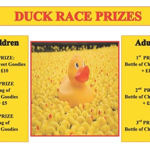 Berwick St James Parish Jubilee Party & Duck Race - 4 June 2012