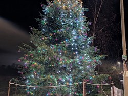Christmas 2024