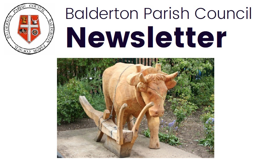 Image of Balderton Ox