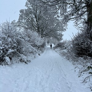 BISHOP MONKTON TODAY Snow January 2025