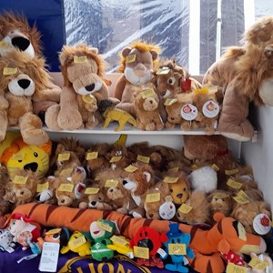 Oswestry Vintage Show