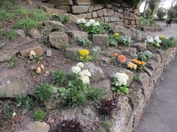 The small rockery March 2022