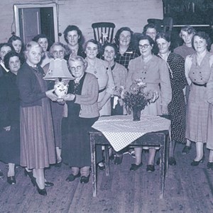 Women's Institute, Little Wenlock Parish Council