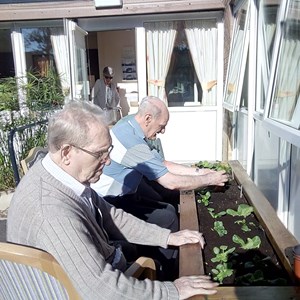 Swanwick Men's Shed Rowthorne Garden Project