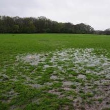 __________________________________________________ Flood Risk