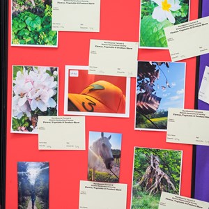 HBT Horticultural Society Photographs 2025