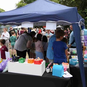 Goodworth Clatford Parish Council  Fete 2026 photos