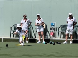 Henfield Bowling Club The Bowls