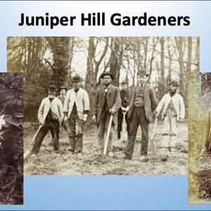 Mickleham & Westhumble Local History Group Not Such Everyday Lives