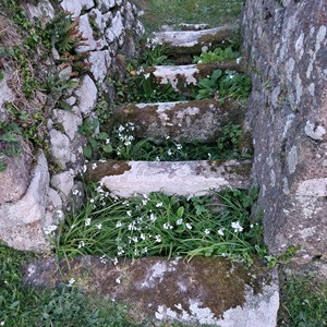 Germoe Parish Council The Coffin Stiles of Germoe