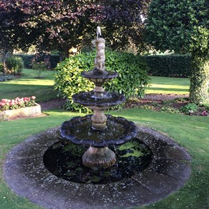 Roger Merryweather's garden