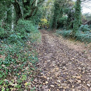 Hereford Mountain Club Our recent activities