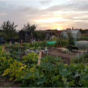 Laceby Parish Council Allotments