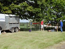 2025 VE 80th Celebrations