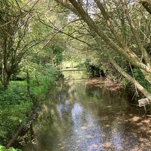 Wonston Parish Council Home