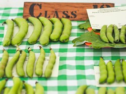 HBT Horticultural Society Competition Schedule 2026