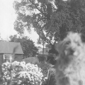 Red Lion dog on wall.  The Hut in background