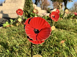 Brandon Town Council Remembrance Day 2025