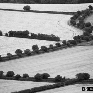 Gallery, Kingsclere Neighbourhood Plan