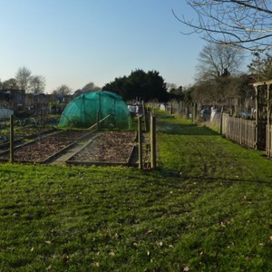 Some more well kept allotments