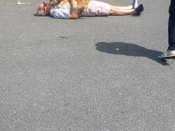 Martinstown Village Hall Open Gardens 2025