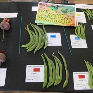 Goodworth Clatford Parish Council  Fete 2026 photos