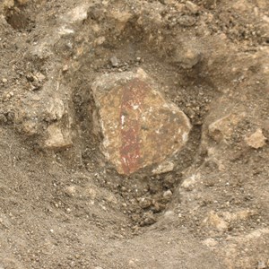 Heather and Agata’s find