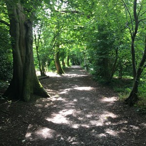 Peaceful walk at Long Break
