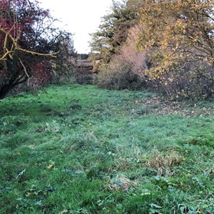 Asenby Parish Council Local Walks