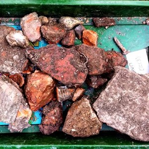 Some of his finds