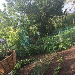 Laceby Parish Council Allotments