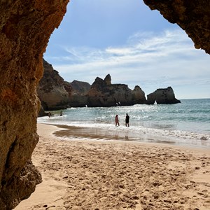 cove after cove