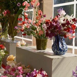 HBT Horticultural Society Photographs 2026