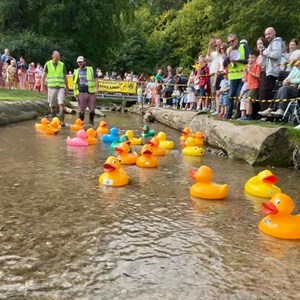 Louth & District Lions Duck Race