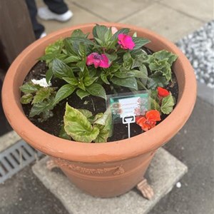 West Moors Bowls Club Outdoor Season 2025