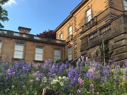 Spring bulbs below the Art Gallery