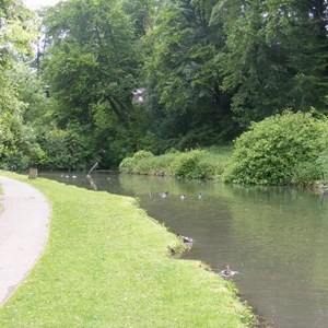Louth & District Lions Duck Race
