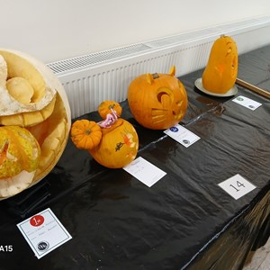 Adult Carved Pumpkin