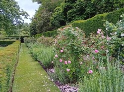 Garden boredr
