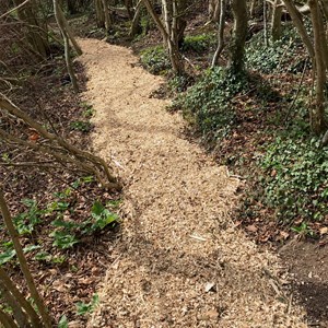 Wood Chipping's on the access path